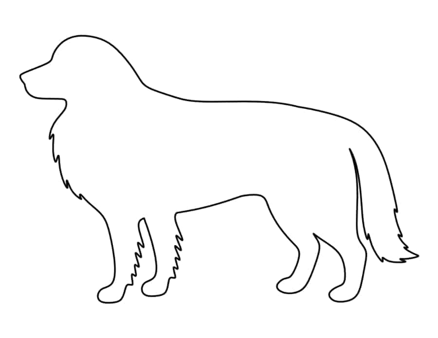 Border Collie Tracing Worksheets Pdf Free Vectors